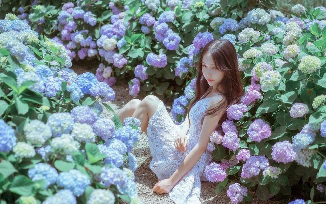 安徽省5年来新增94家华侨国际文化交流基地